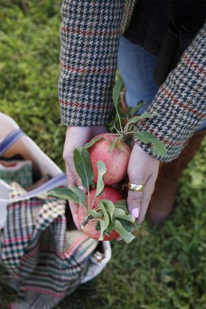Atlantic Pacific Blog // Blair Eadie apple picking! 