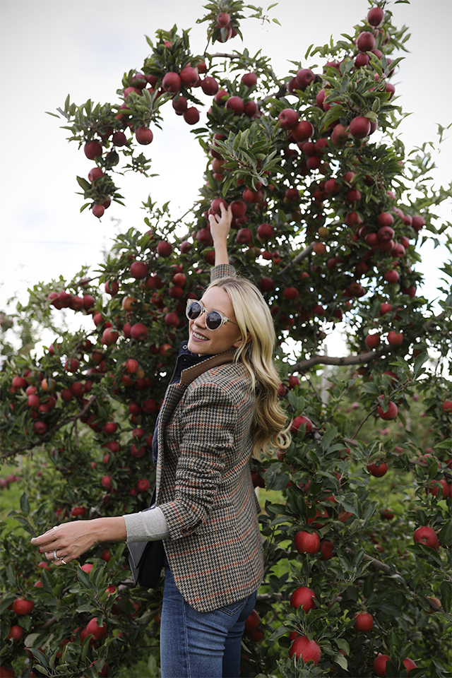Atlantic Pacific Blog // Blair Eadie apple picking! 