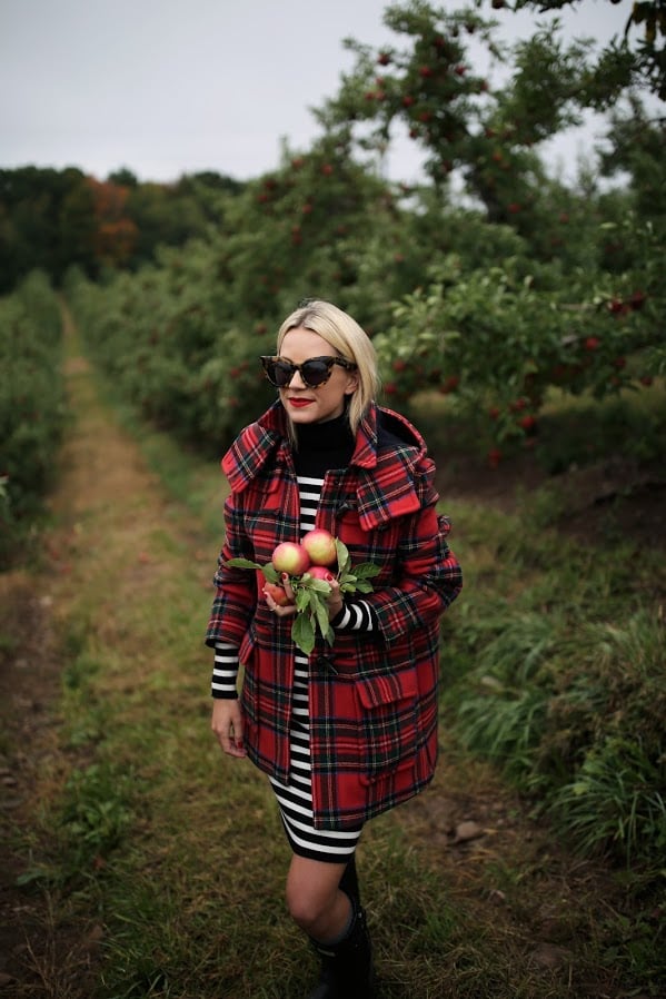 blair2Beadie2Batlantic2Bpacific2Bplaid2Bfall2B5